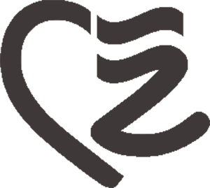 NLZVE-300x269